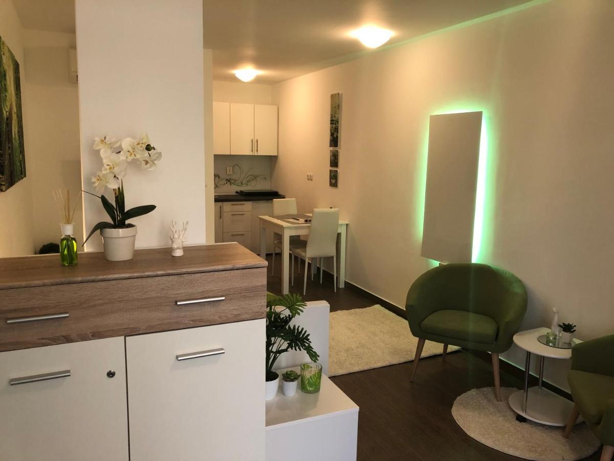 卢布尔雅那Luxury Central Studio Under The Castle公寓 外观 照片